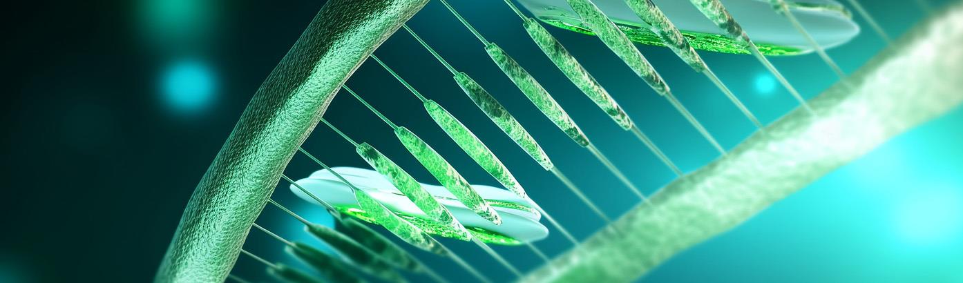 合成生物